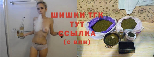 шишки Алексеевка