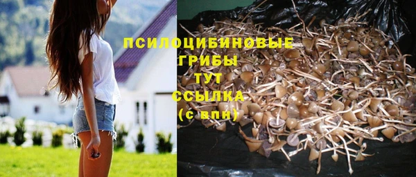 каннабис Алексин