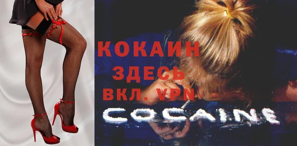дмт Абаза