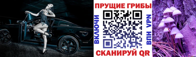 Псилоцибиновые грибы Magic Shrooms  где купить наркоту  Сыктывкар 